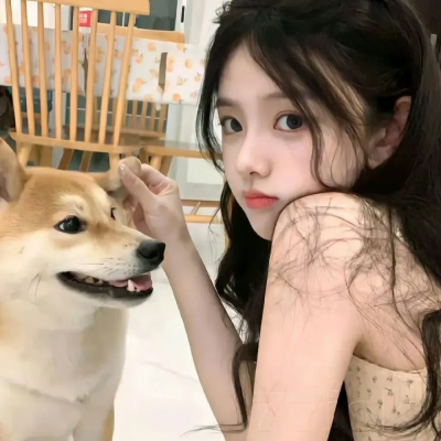 巅峰拍档第十二季